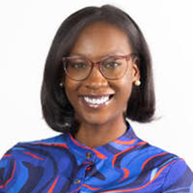 https://newfrontierdemocraticclub.org/wp-content/uploads/2023/01/Kamilah-Moore-Team-1.jpg